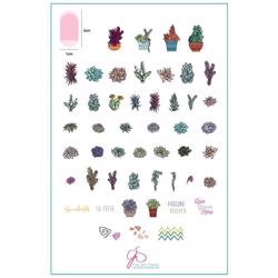 Oh So Succulent! (CjS-123) - Stampingplade, Clear Jelly Stamper